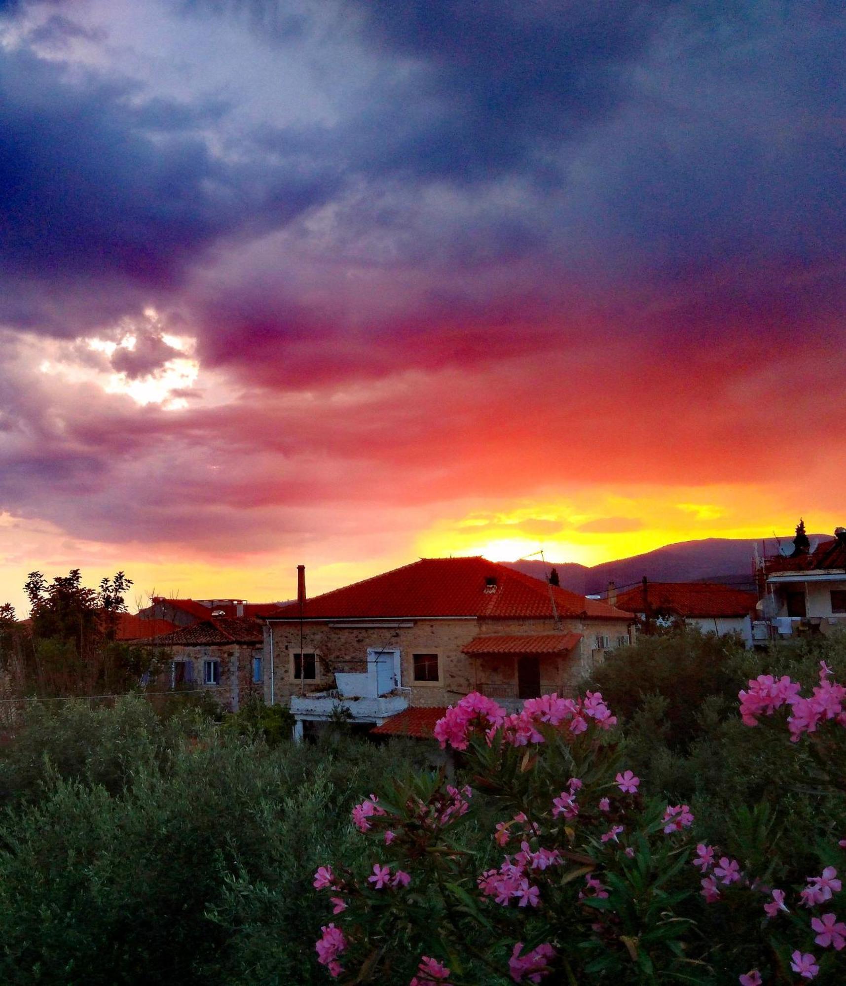 Sea And Sun Apartments 304 Ιδιωτικό Διαμέρισμα Kardhamili Bagian luar foto
